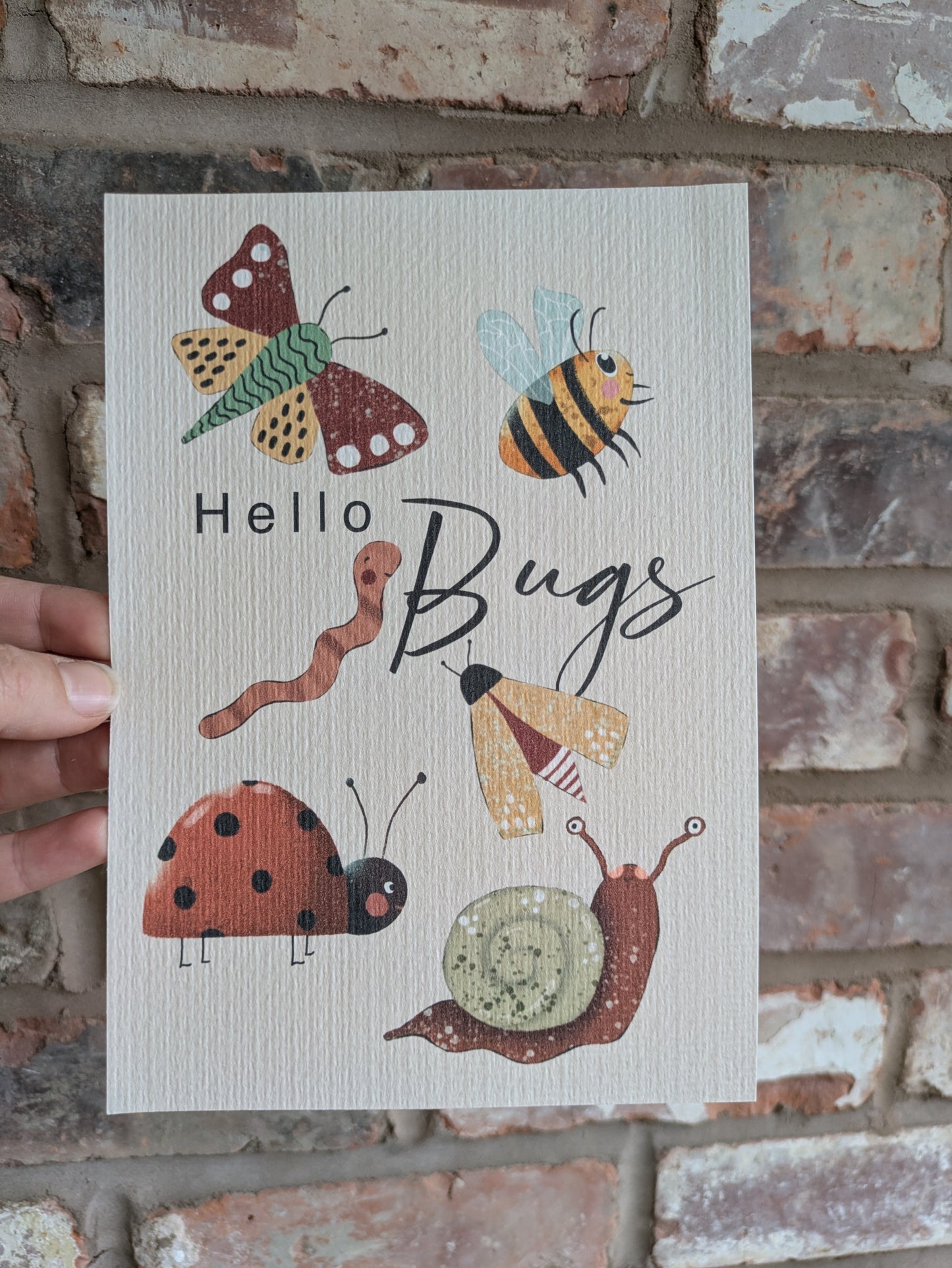 Hello Bugs Print